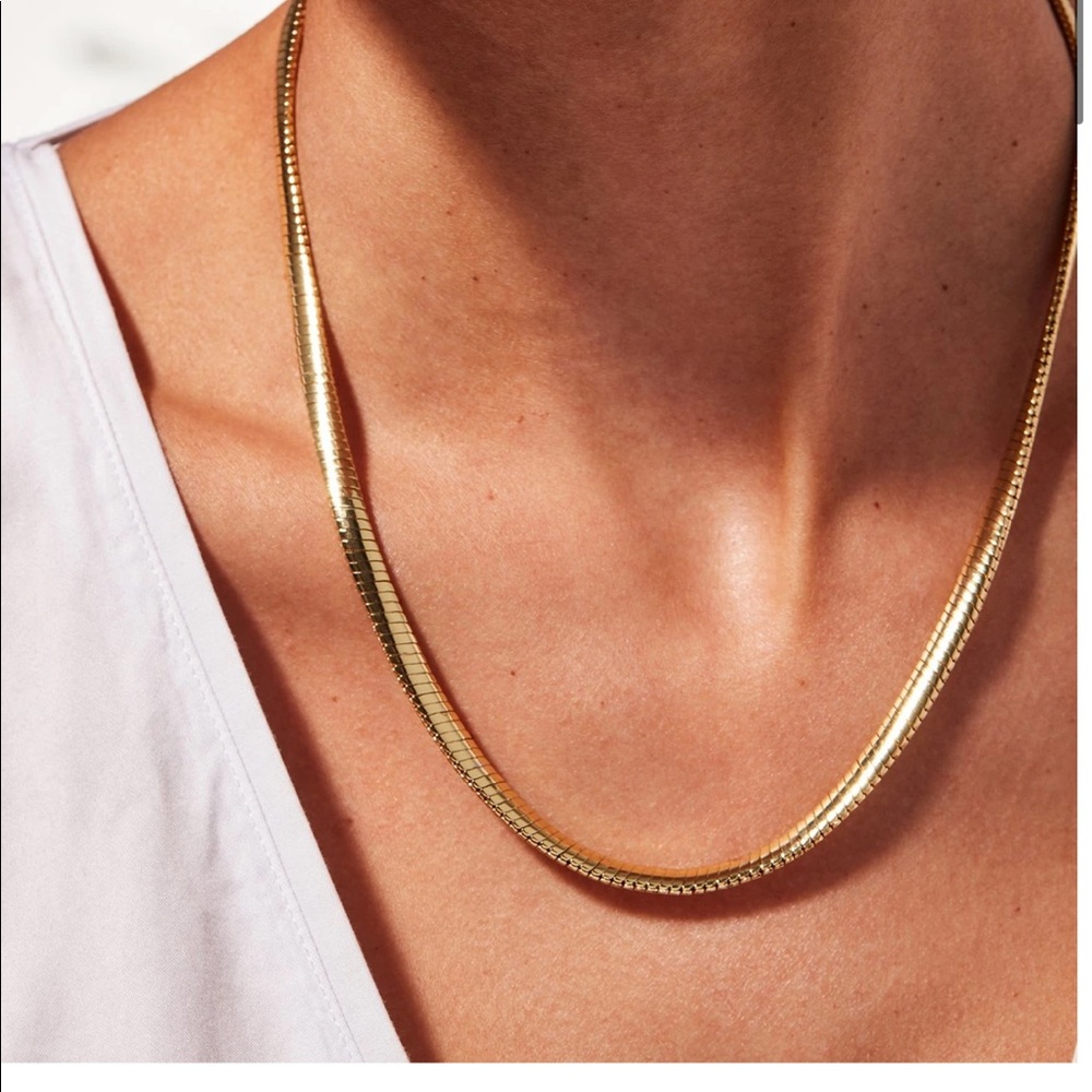 Brand New Jenny Bird Gold Snake Chain
